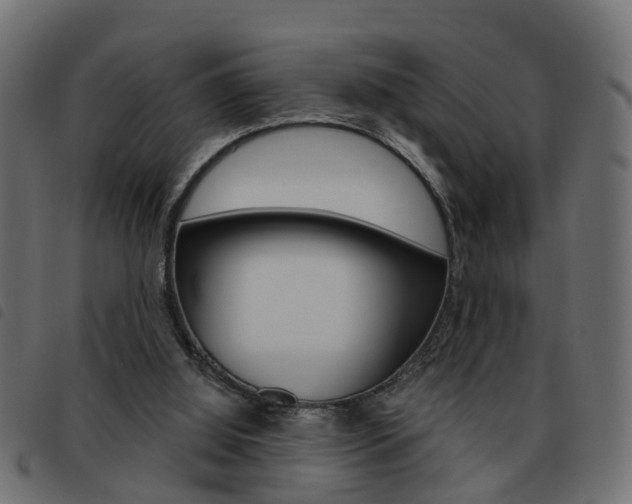 X0000093620060200710151048