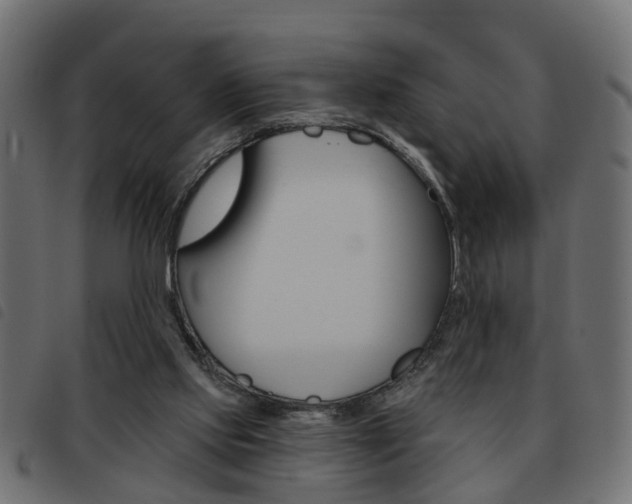 X0000093620061200710151048