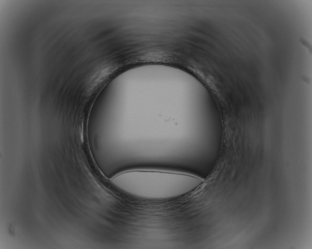 X0000093620062200710151048