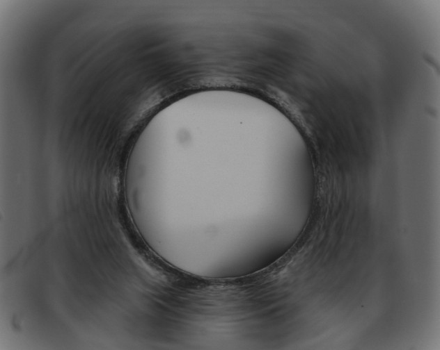 X0000093620063200710151048