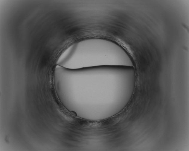 X0000093620065200710151048