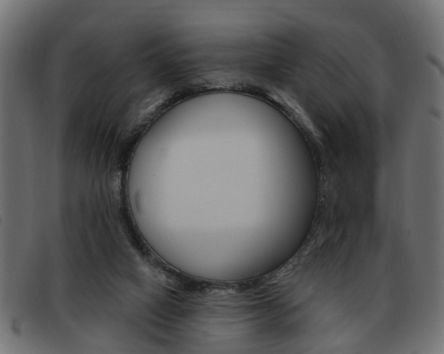 X0000093620066200710151048
