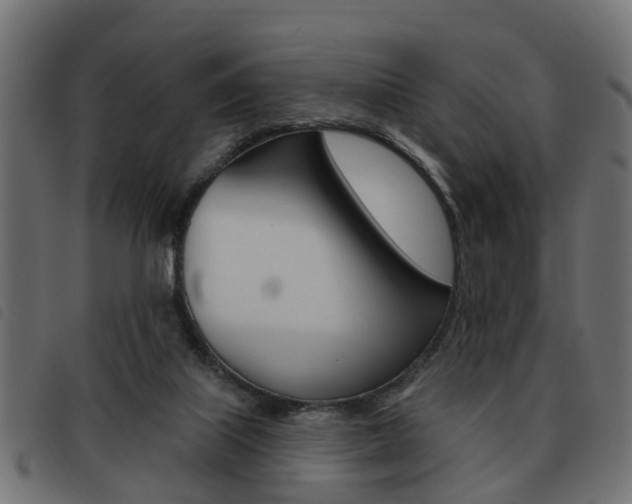 X0000093620067200710151048
