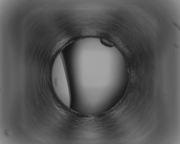 X0000093620068200710151048