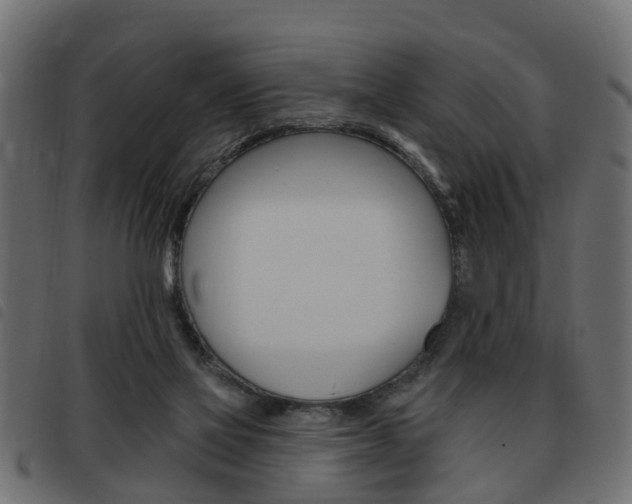 X0000093620069200710151048