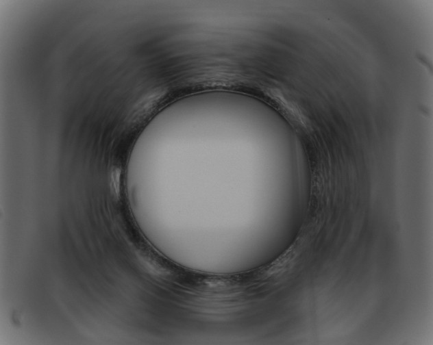X0000093620070200710151048