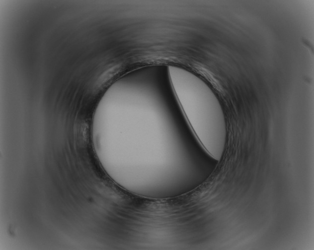 X0000093620071200710151048
