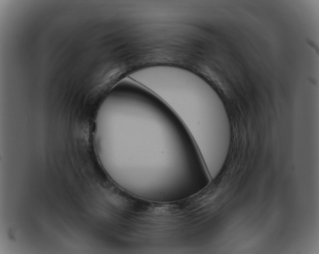 X0000093620072200710151048