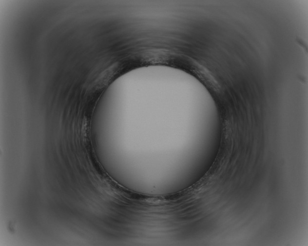 X0000093620073200710151048
