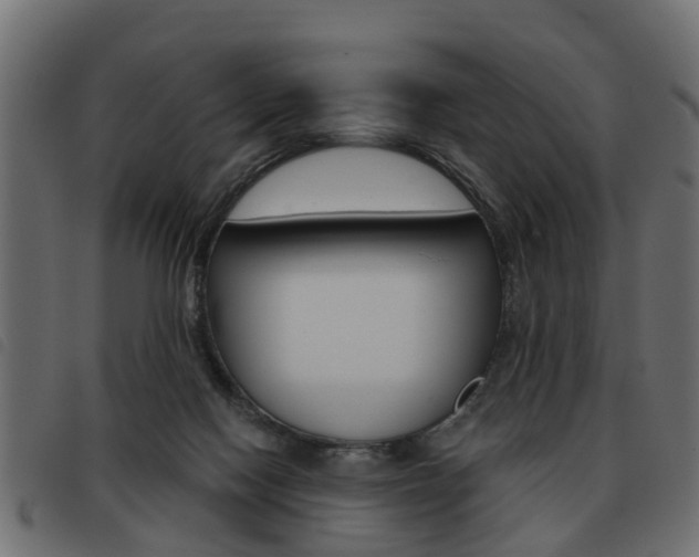 X0000093620074200710151048