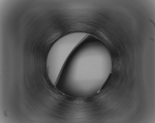 X0000093620076200710151049