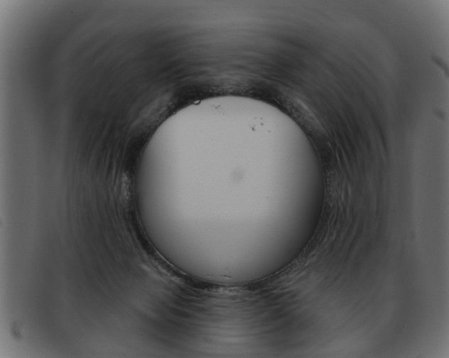 X0000093620077200710151049