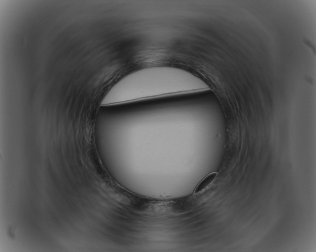 X0000093620078200710151049