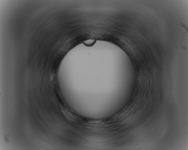 X0000093620079200710151049