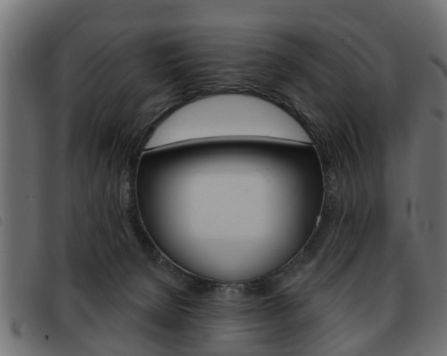 X0000093620080200710151049