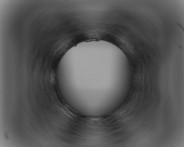 X0000093620081200710151049