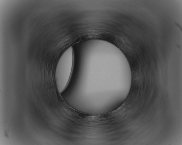 X0000093620082200710151049