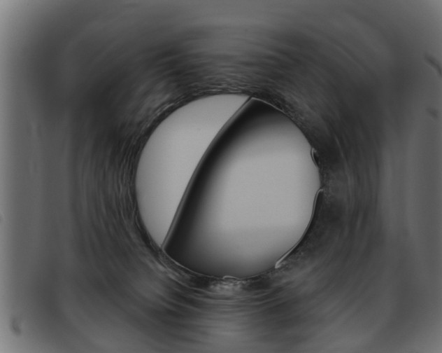 X0000093620084200710151049