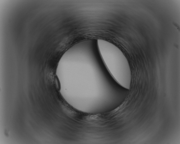 X0000093620086200710151049
