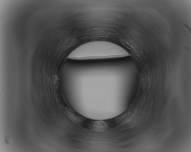 X0000093620087200710151049