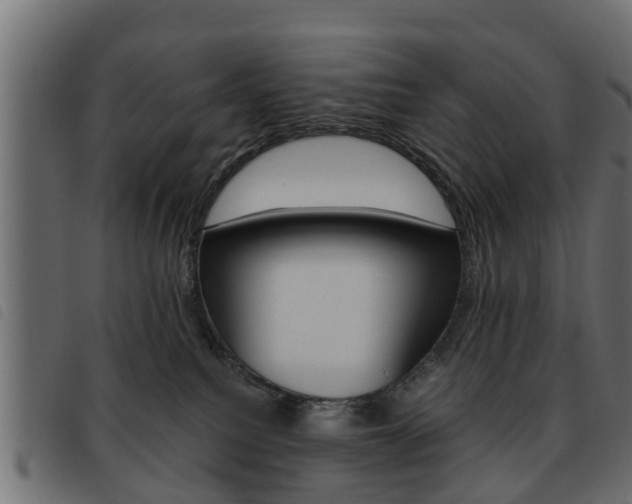X0000093620088200710151049
