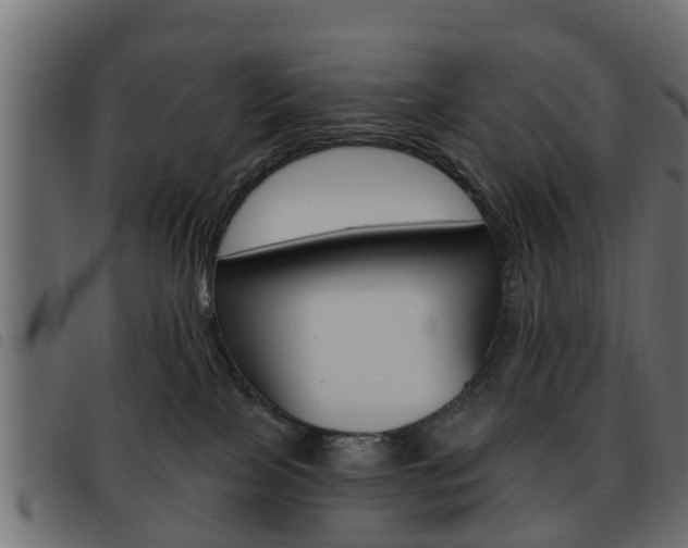 X0000093620089200710151049