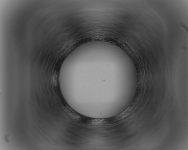 X0000093620090200710151049