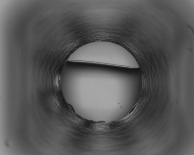 X0000093620094200710151049