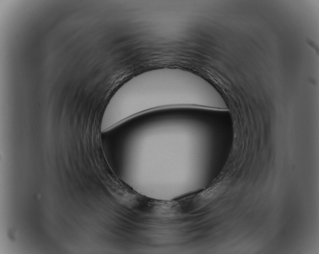 X0000093620096200710151049