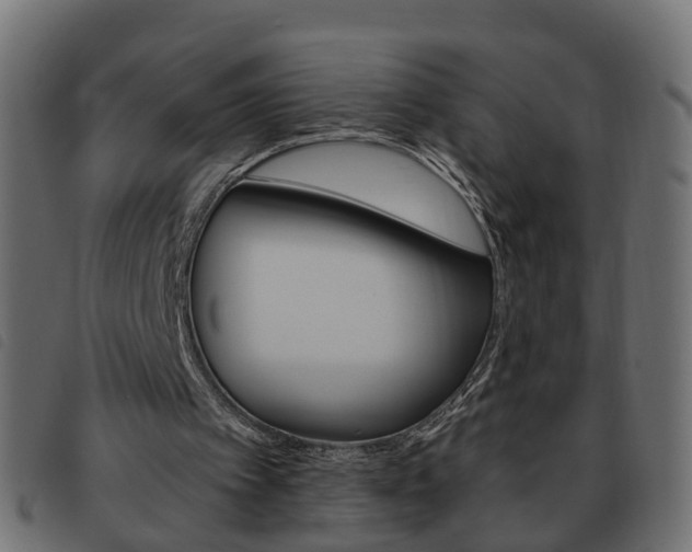 X0000093620097200710151048