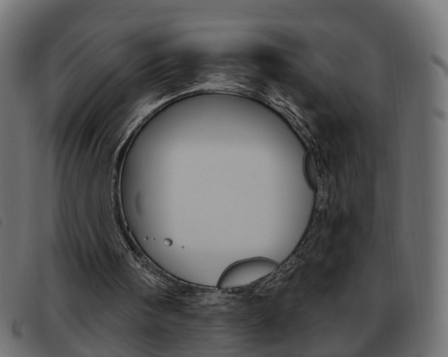 X0000093620098200710151048