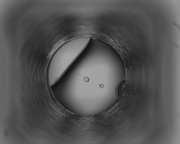 X0000093620099200710151048