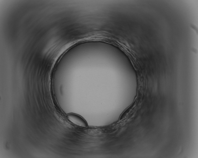 X0000093620100200710151048