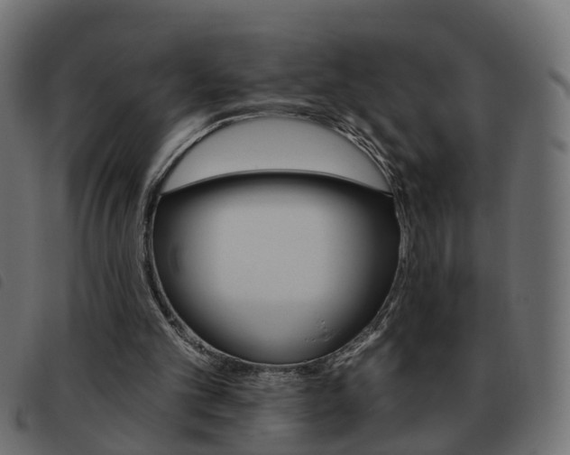 X0000093620101200710151048