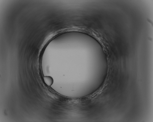 X0000093620102200710151048