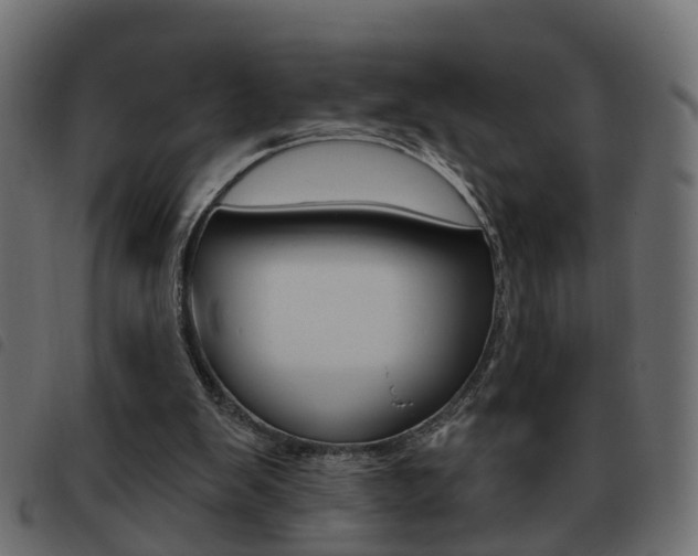 X0000093620103200710151048