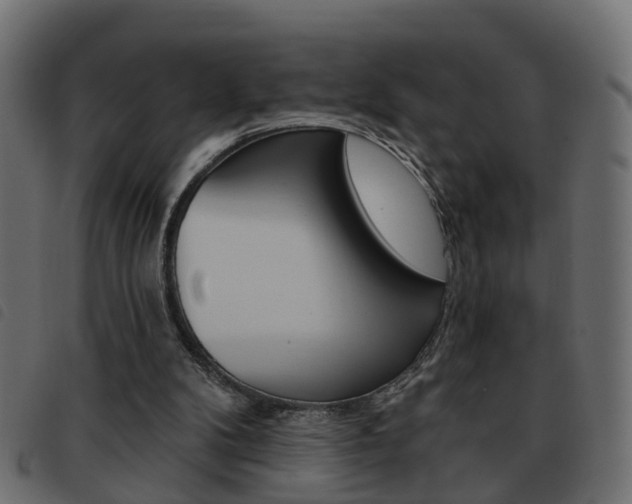 X0000093620104200710151048
