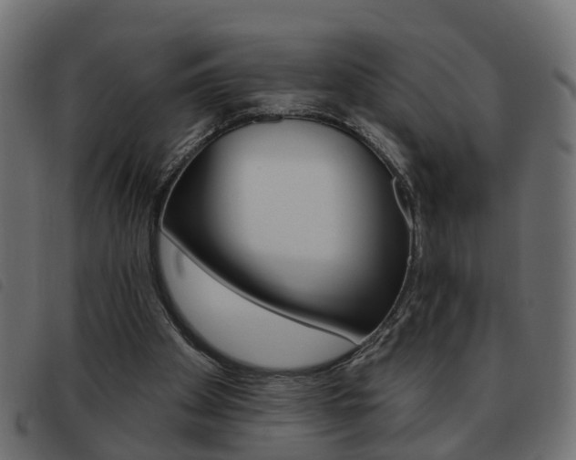 X0000093620105200710151048