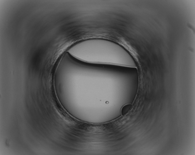 X0000093620107200710151048