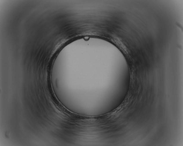 X0000093620108200710151048
