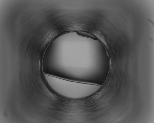 X0000093620109200710151048