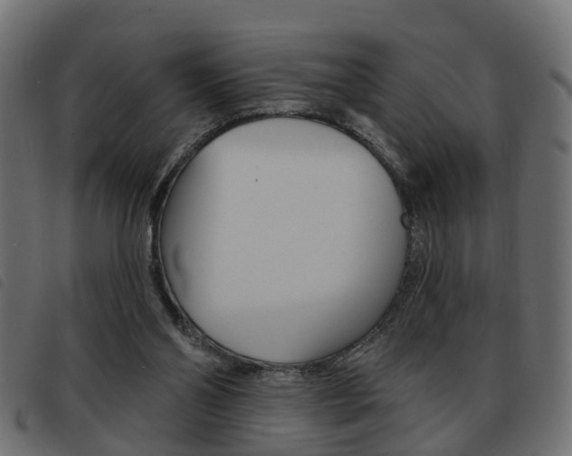 X0000093620110200710151048