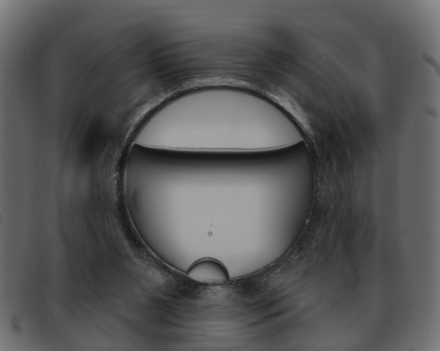 X0000093620111200710151048