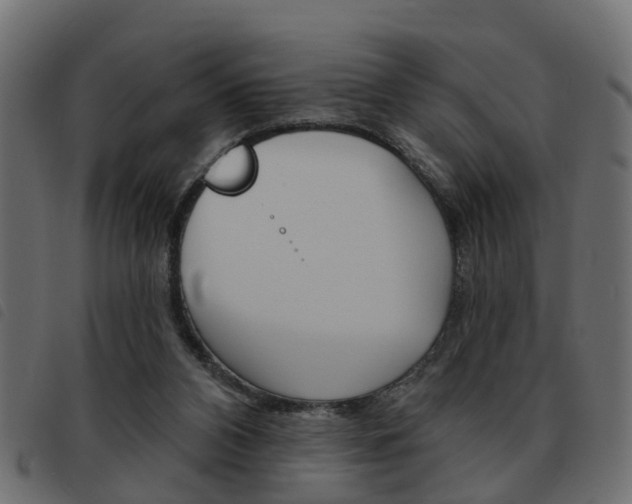 X0000093620112200710151048