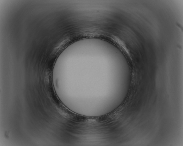 X0000093620114200710151048