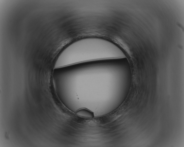 X0000093620115200710151048