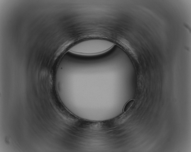 X0000093620116200710151048