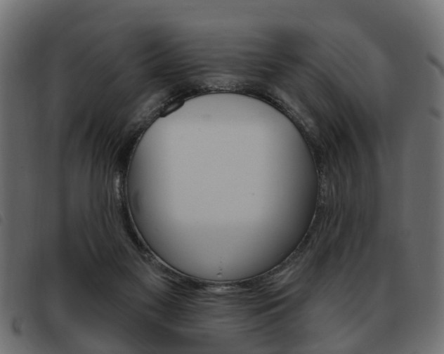 X0000093620117200710151048