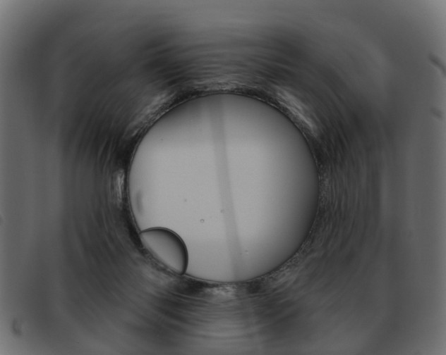 X0000093620118200710151048