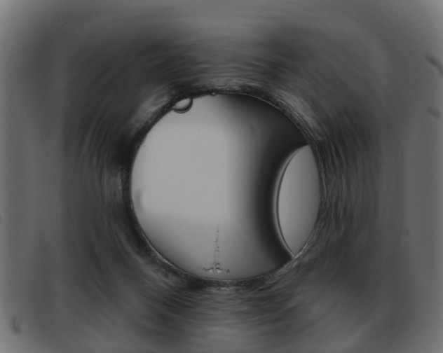X0000093620120200710151048
